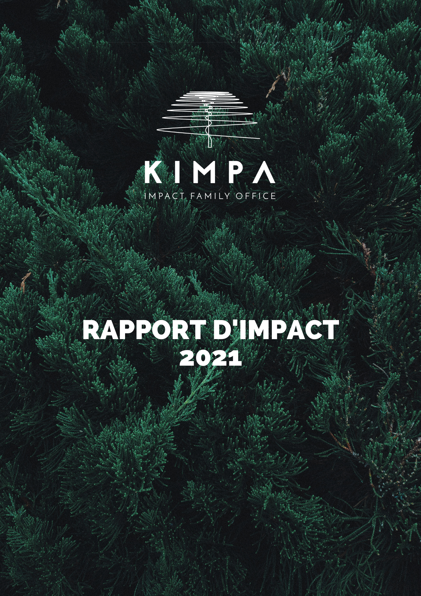 RAPPORT DIMPACT Kimpa -1